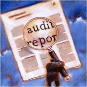 Banks Get Online Access to Audit Reports