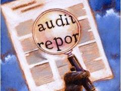 Banks Get Online Access to Audit Reports 